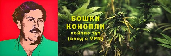 спиды Козельск